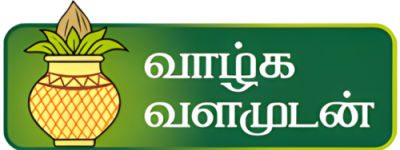 Main Logo 2